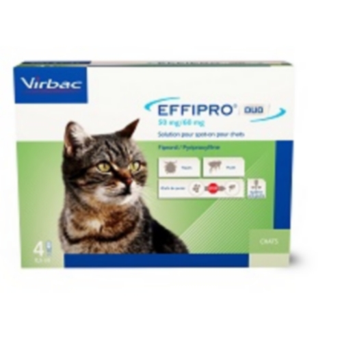 EFFIPRO DUO CHAT 50 MG         	plaq/4    	sol ext